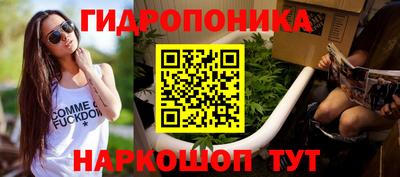 спиды Гусев