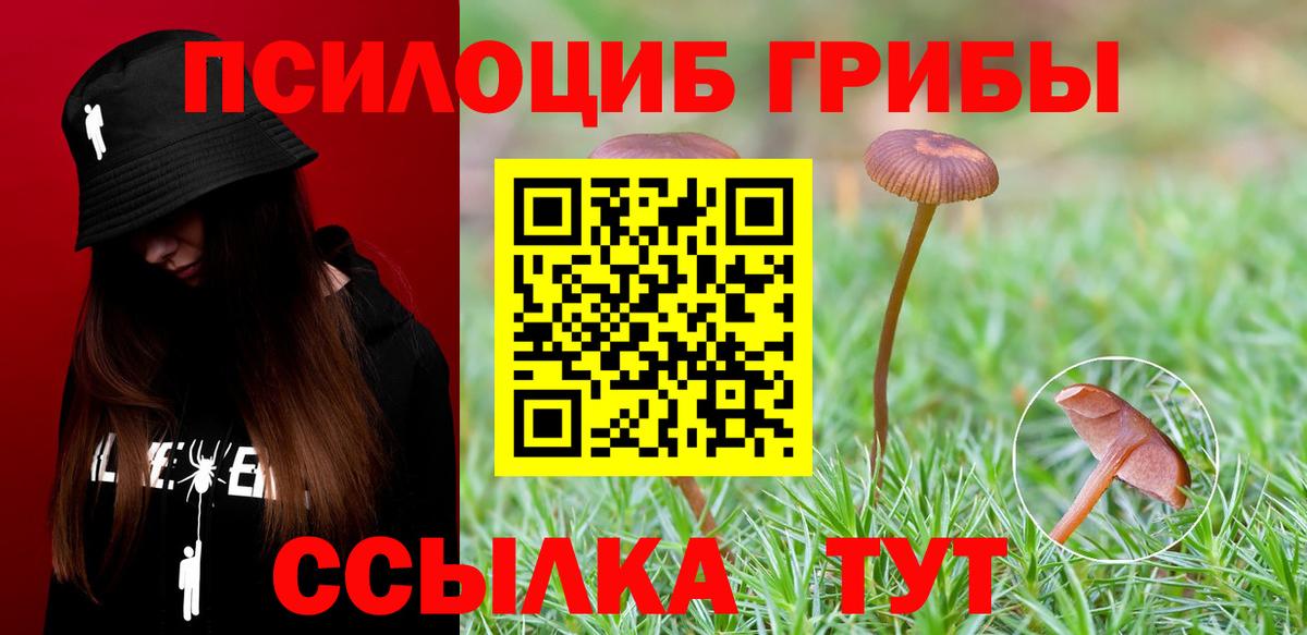 Псилоцибиновые грибы ЛСД Наро-Фоминск