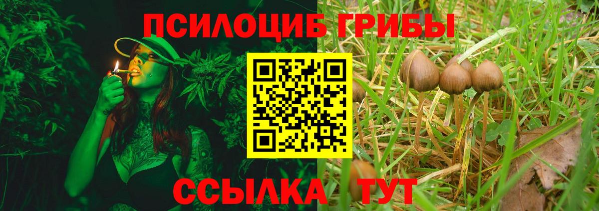 Галлюциногенные грибы Psilocybe  Вход с VPN  Наро-Фоминск 